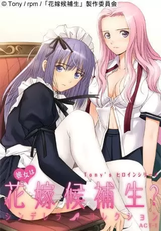 Tony's Heroine Series: Kanojo wa Hanayome Kouhosei? Cinderella Collection
