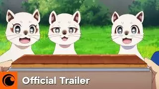 Video #315