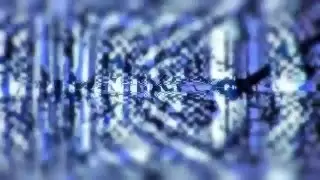 Video #8846