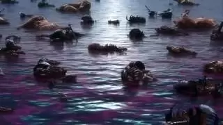 Video #9708