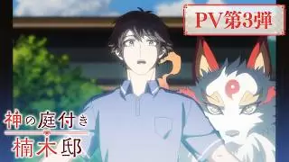 Video #313