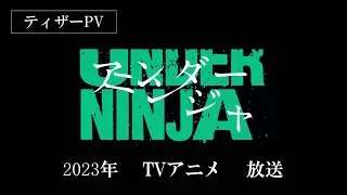 Video #4073