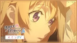 Video #335
